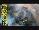 【ありの飼育記#153】サムライアリの女王アリの寄生がヤバすぎた【ショートバージョン】Samurai ant parasite scene