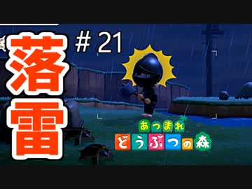 【あつまれ どうぶつの森】全身金属装備なのに落雷がきちゃった!!＃21