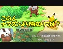 ポケモンー不思議のダンジョン救助隊DX実況？　してみる29【太陽の洞窟挑戦】