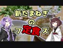 【あつまれ！１分弱料理祭】新たまねぎのフルコース