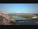 桜１００選　宮城県人気１位　大河原町白石川堤一目千本桜　MAVIC　PRO4K空撮
