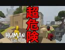 【実況】超危険！！【HUMAN fall flat】