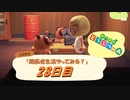 【N.Sw】" あつまれ どうぶつの森 " 開拓者生活やってみる？　28日目　【生放送】