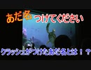 クラッシュにあだ名付けてもらった。【タートルトーク】東京ディズニーシー