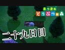 【実況】島の形を変えていこう【あつまれ どうぶつの森】二十九日目