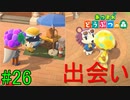 【実況】捻くれ者の無人島生活【あつまれ　どうぶつの森】２６日目