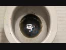 M&M'sを色別にトイレに流してみたのまとめ２