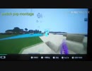 Switch PVP Montage[4]　取り残された美術