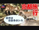 【旅動画#6】PR動画の撮影をしに和束行ってきた！！前編