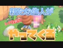 【あつ森】ゆる～くやるどうぶつの森【13日目】