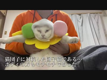 猫団子に対抗した団子猫、爆誕する