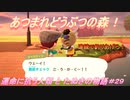 【あつ森】前人未島へようこそ！#29【あつまれどうぶつの森】