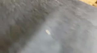 ビグニとばあちゃん