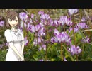 【さとうささら】死と乙女【シューベルト】