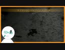 【TITAN FALL 2】ディフェンスに定評のあるVtuber （自称）第9話【新人Vtuber/若葉ノみんと 】
