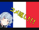 葵ちゃんと見るフランス軍解説⑥