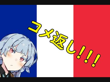 葵ちゃんと見るフランス軍解説⑥