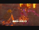 裸一貫　ゼルダの伝説BotW　part6
