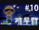流れ星への願いごとってほんとうに叶うんだね。【あつまれ どうぶつの森】10