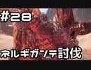 【実況】さぁ狩りの時間だ【MH:W IB】28日目