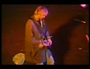 [LIVE]NIRVANA -  Nobody Knows I'm New Wave