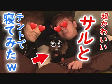 勃海道で動物たちと〇交！TENTOでメスおサルさんと寝てみたｗ【設XKIN＆性KIKIN】