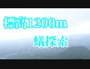 【ありの飼育記#158】標高1200ｍの高山帯の蟻探索　Search for ants in the alpine zone at an altitude of 1200m