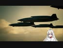 【ACE COMBAT 7】未知なる空のただ中で Part 6【VOICEROID実況】