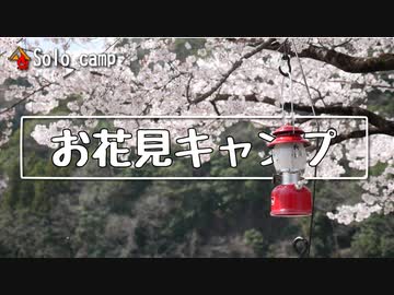 ぼっちかふぇ その184　~お花見キャンプ~　ソロキャンプ