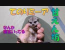 【甘えん坊注意】片時も離れてくれない珍獣の赤ちゃん