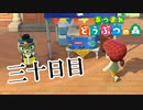 【実況】まきエサないと全然釣れない【あつまれ どうぶつの森】三十日目