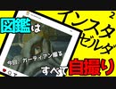 【インスタゼルダ】カミカミの神実況【かんよう】