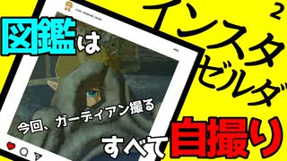 【インスタゼルダ】カミカミの神実況【かんよう】