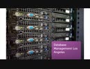 Miji IT Solutions, LLC : Database Management in Los Angeles