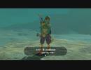【Switch】リンクの記憶なしで成り行き旅【プレイ動画】part72