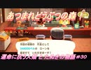 【あつ森】前人未島へようこそ！#30【あつまれどうぶつの森】