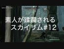 【素人が蹂躙されるスカイリム】実況プレイ_part12