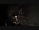 【人生初の】バイオハザード7 madhouse part 39【実況動画】