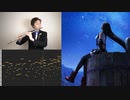 【FF7】ティファのテーマをフルートで演奏してみました【Flute】