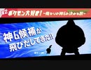 【ポケモン盾剣】ポケモン大好き！〜俺なりの神6を決める旅〜#2
