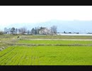 新緑　Nikon　D1X　画質圧縮版