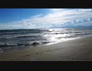 Martin Tungevaag - Wicked Wonderland (Official Video)