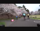 長野県　桜のAACR     お花見ライド