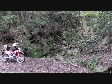 水辺の風景_その1