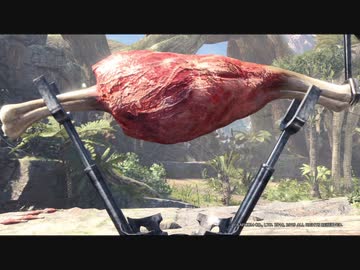 新大陸のハンターが肉とビールで優勝するだけの動画【MHWIB】