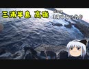 三浦半島　高磯　2020年3月中旬の釣り
