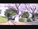 【魅ぃ】 春に一番近い街 【踊ってみた】