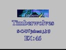 Timberwolves（EX）　LV.46　【PMS創作譜面】