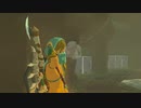 【ゼル伝BotW】100年の眠りから目覚めた勇者の冒険１３４【もちまる】