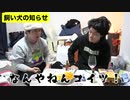 【水平思考クイズ】何故犬の飼い主は警察に連絡した?せいやが正解を巡りスタッフに激ギレ…【霜降り明星】20/30